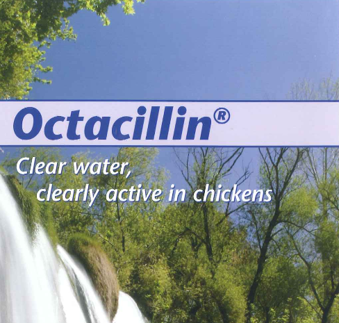 Octacillin 